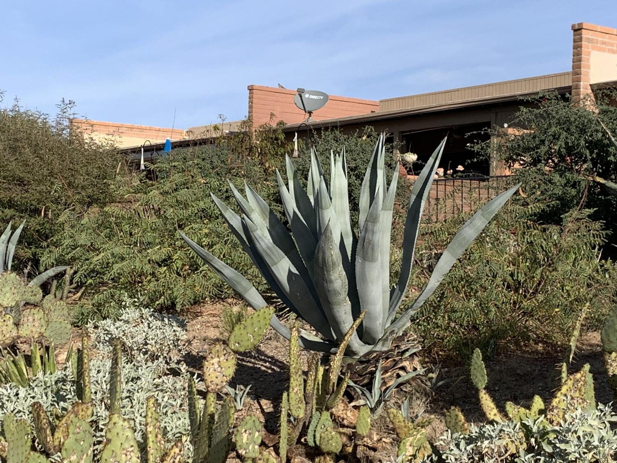 Garden Home With Mountain & Desert Views Home 绿谷 外观 照片