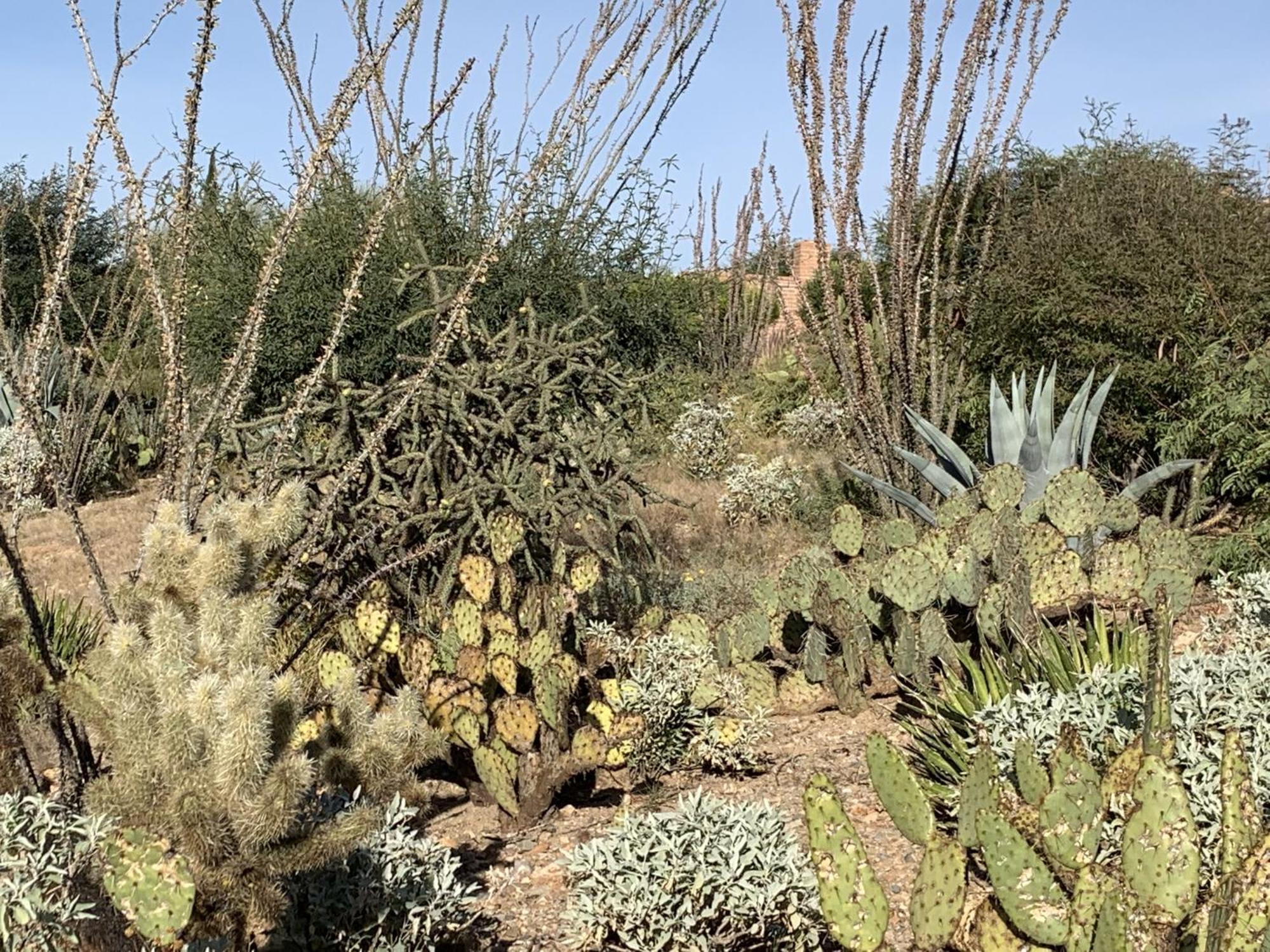 Garden Home With Mountain & Desert Views Home 绿谷 外观 照片