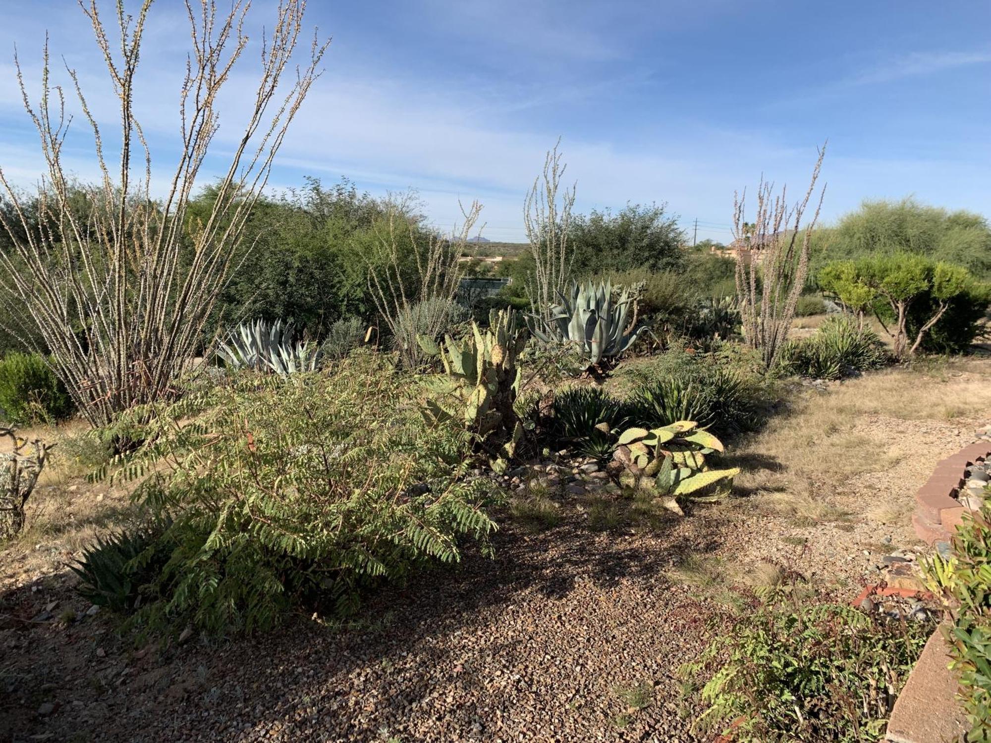 Garden Home With Mountain & Desert Views Home 绿谷 外观 照片