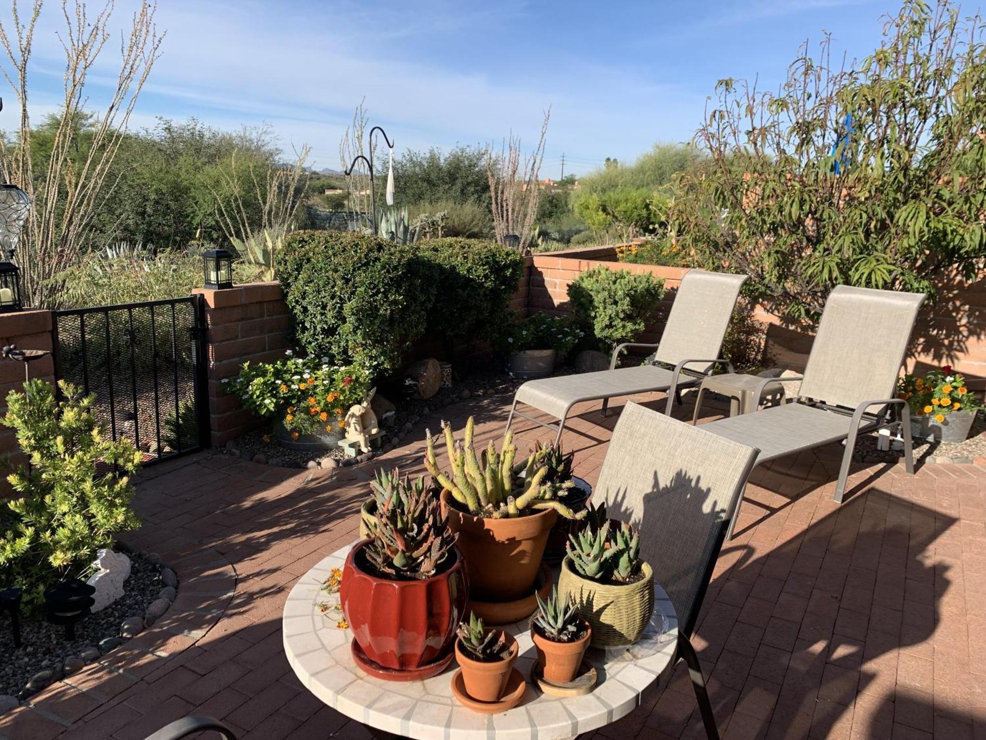 Garden Home With Mountain & Desert Views Home 绿谷 外观 照片